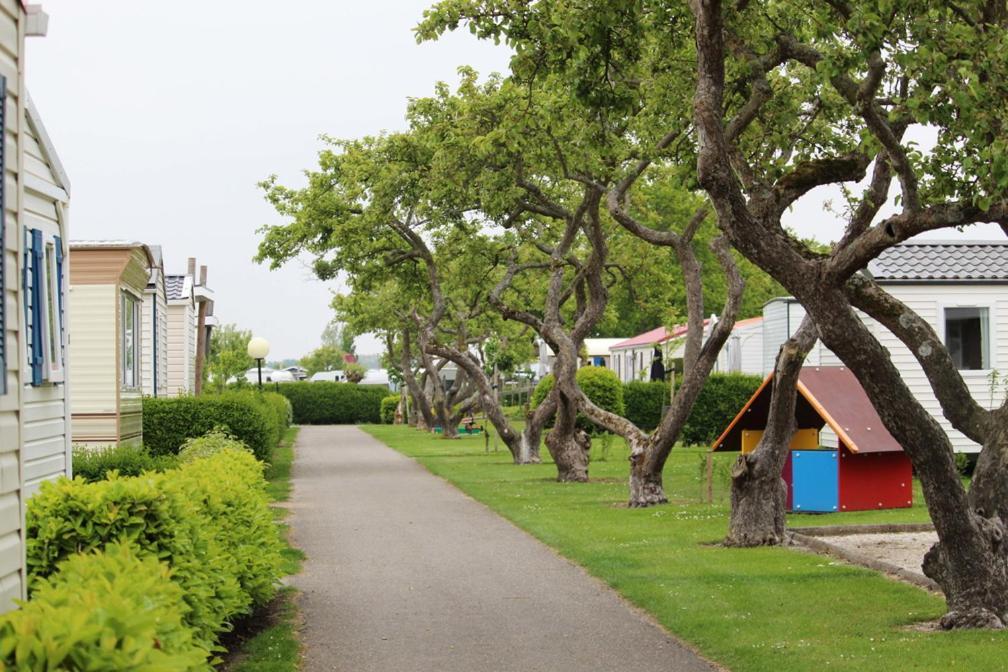 Siblu Camping In De Bongerd أوستكابيلي المظهر الخارجي الصورة